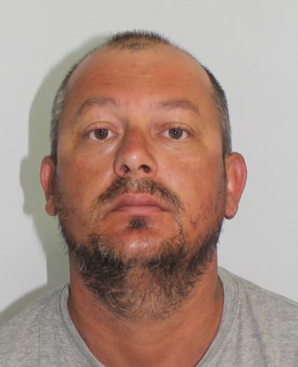 Claudiu Rizea rapist sex offender Harrow