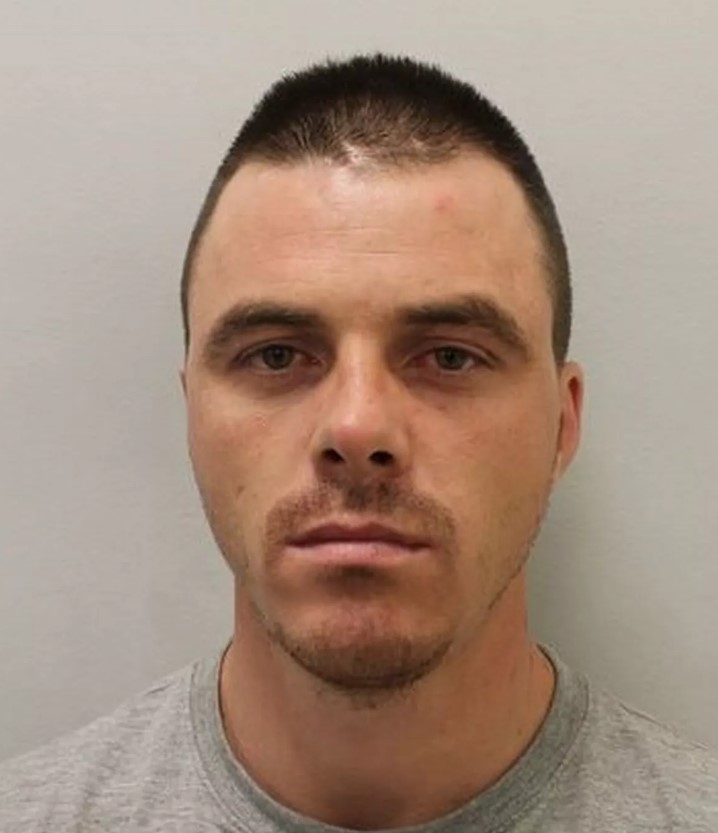 Serban Scinteianu rapist sex offender Brixton