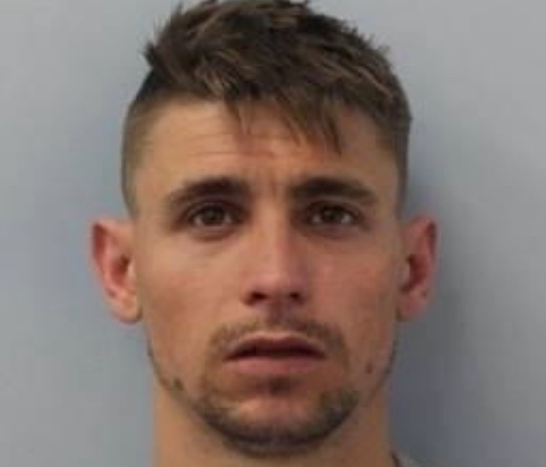 dragos razvan vacariu rapists sex offender