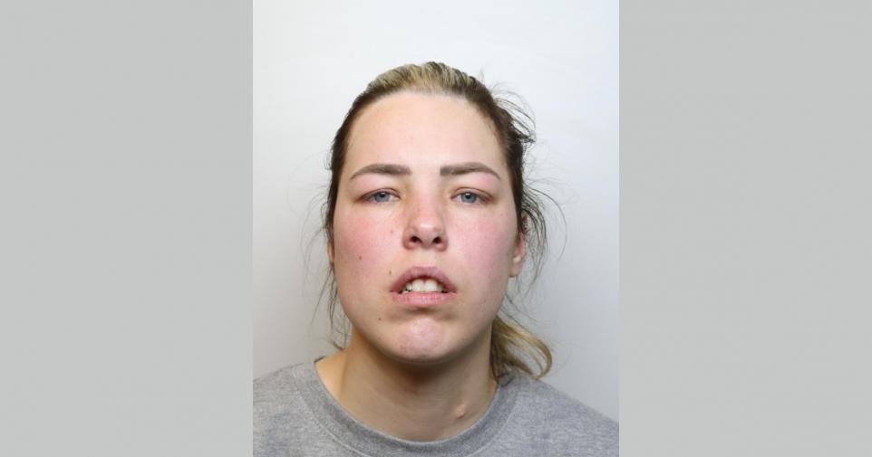 ellee nicoll paedophile sex offender rapist