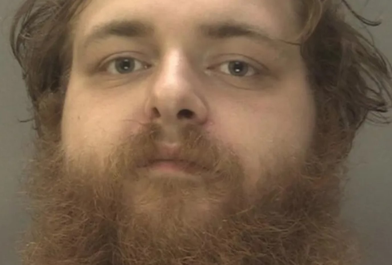 marcus newton paedophile child sex offender birmingham