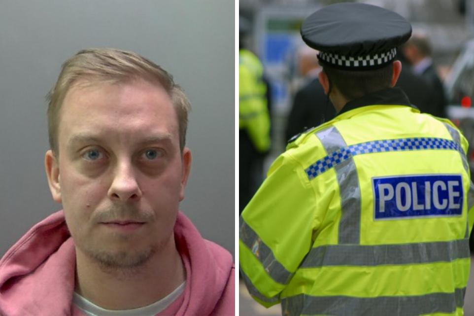 Michael Hargrave paedophile child sex offender - Edgware