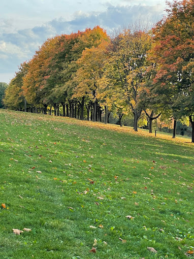 stevenage's fairlands valley park paedophile sex offenders