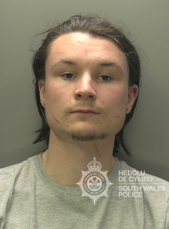 Leo Payne paedophile child sex offender - Bonymaen