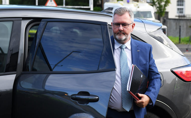 Sir Jeffrey Donaldson paedophile child sex offender - Northern Ireland