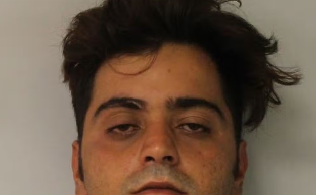 Abbas Alsaed paedophile child sex offender