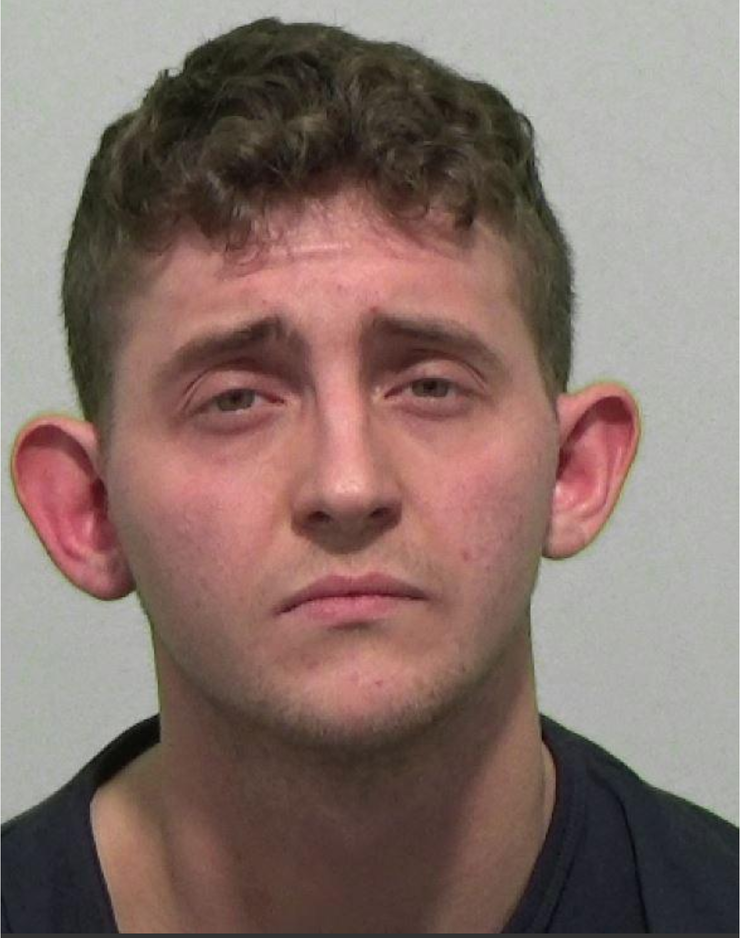 Daniel Potterton paedophile child sex offender