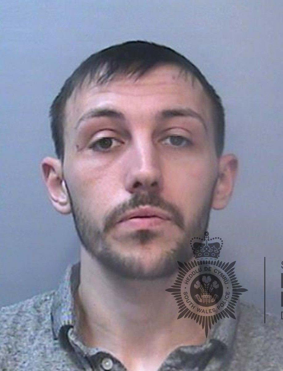 Darryl Price flasher rapist sex offender