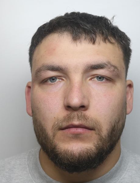 Nicu Botnari rapist sex offender