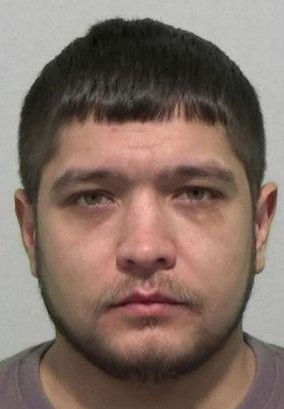 Peter Anderson paedophile sex offender - Sunderland