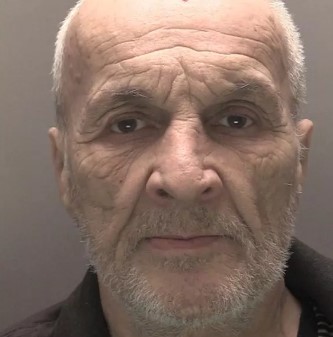 Peter Steinitz paedophile child sex offender