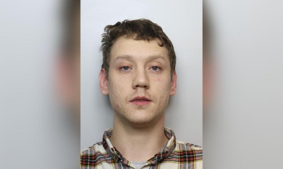 Sergejs Litvins sex offender