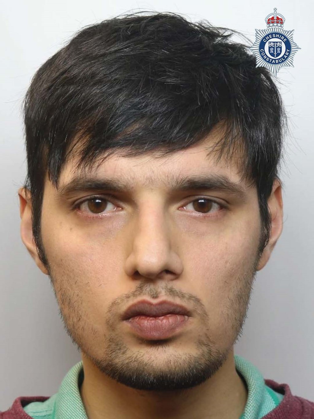Syed Ali paedophile child sex offender