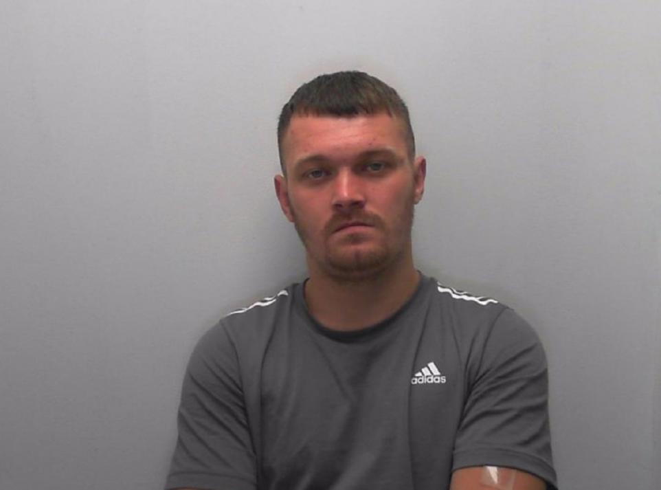 William Wilson Allan rapist sex offender