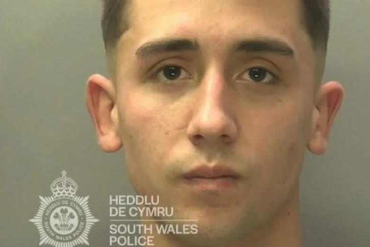 Ben Davies Upper Killay sex offender