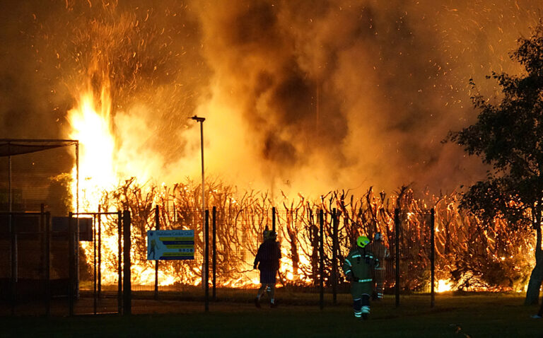 Hailsham Town Football Club Arson Police Appeal