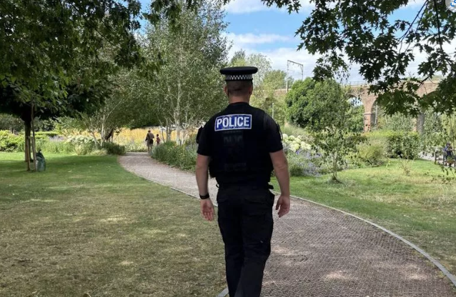 Chelmerton Avenue attempted child abduction
