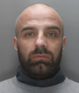 Michael Collins paedophile nonce