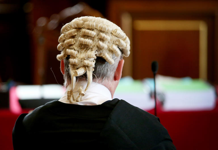 Paedophiles lose parental rights