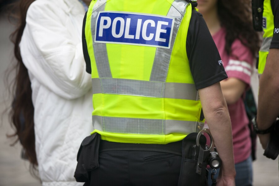 Sex Offenders in the Police