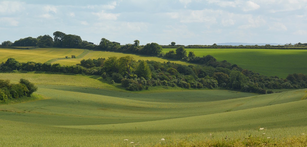 Berkshire