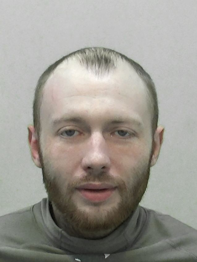 Robert Green Rapist Sex Offender