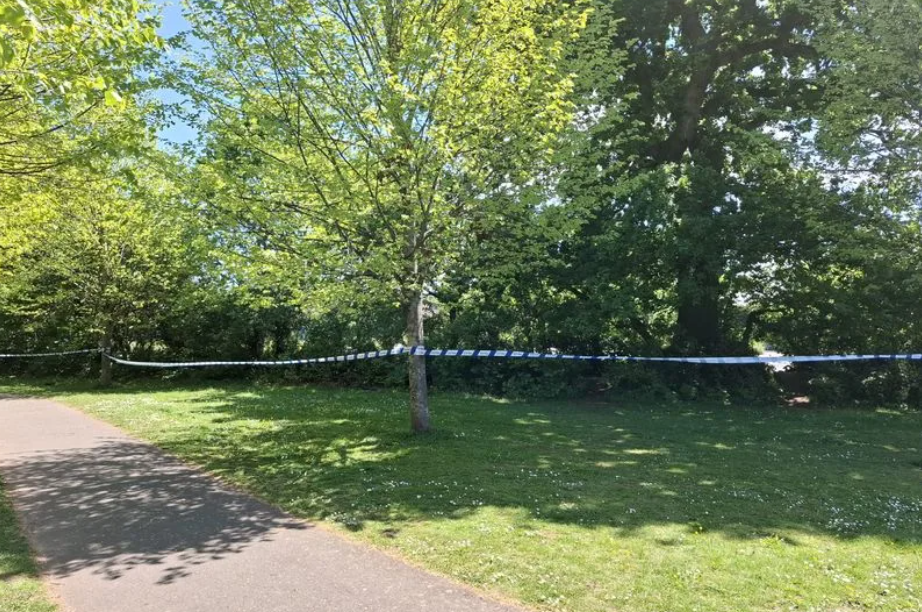 Exeter Double Sexual Assault Digby and Sowton