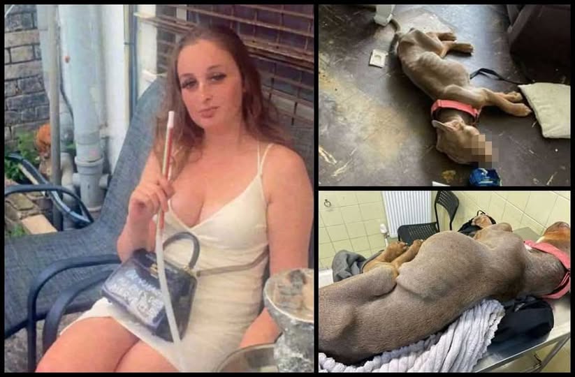 Rebecca Anderson Chatham Animal Abuser Nonce