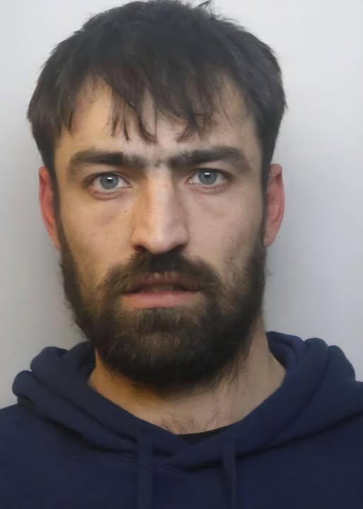 Thomas Westwell Somerset Sex Offender